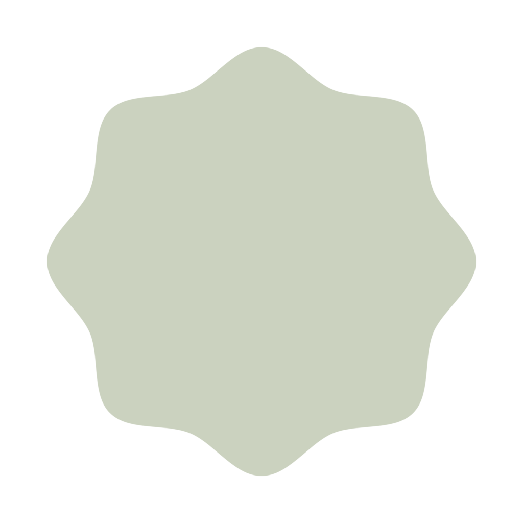 Icono Espacio Terrestre